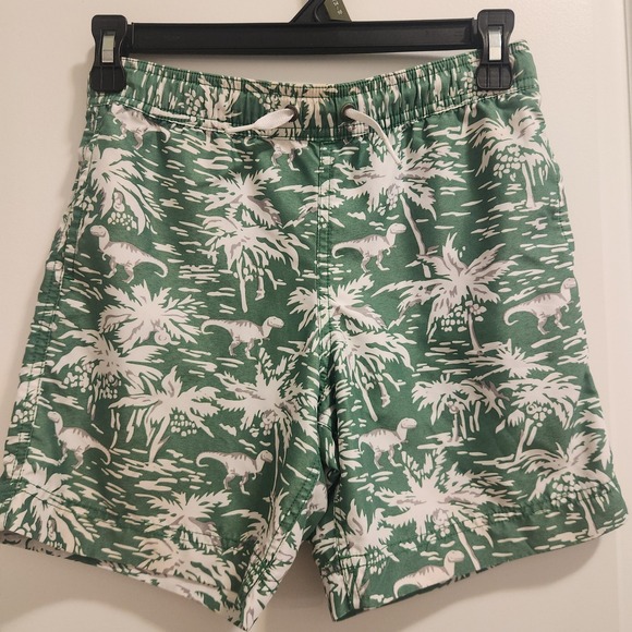 Hanna Andersson Other - Hanna Andersson Boys Green Dinosaur Palm Tree Swim Trunks Size 130 8-10